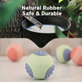 Durable, Squeaky Rubber Chew Ball