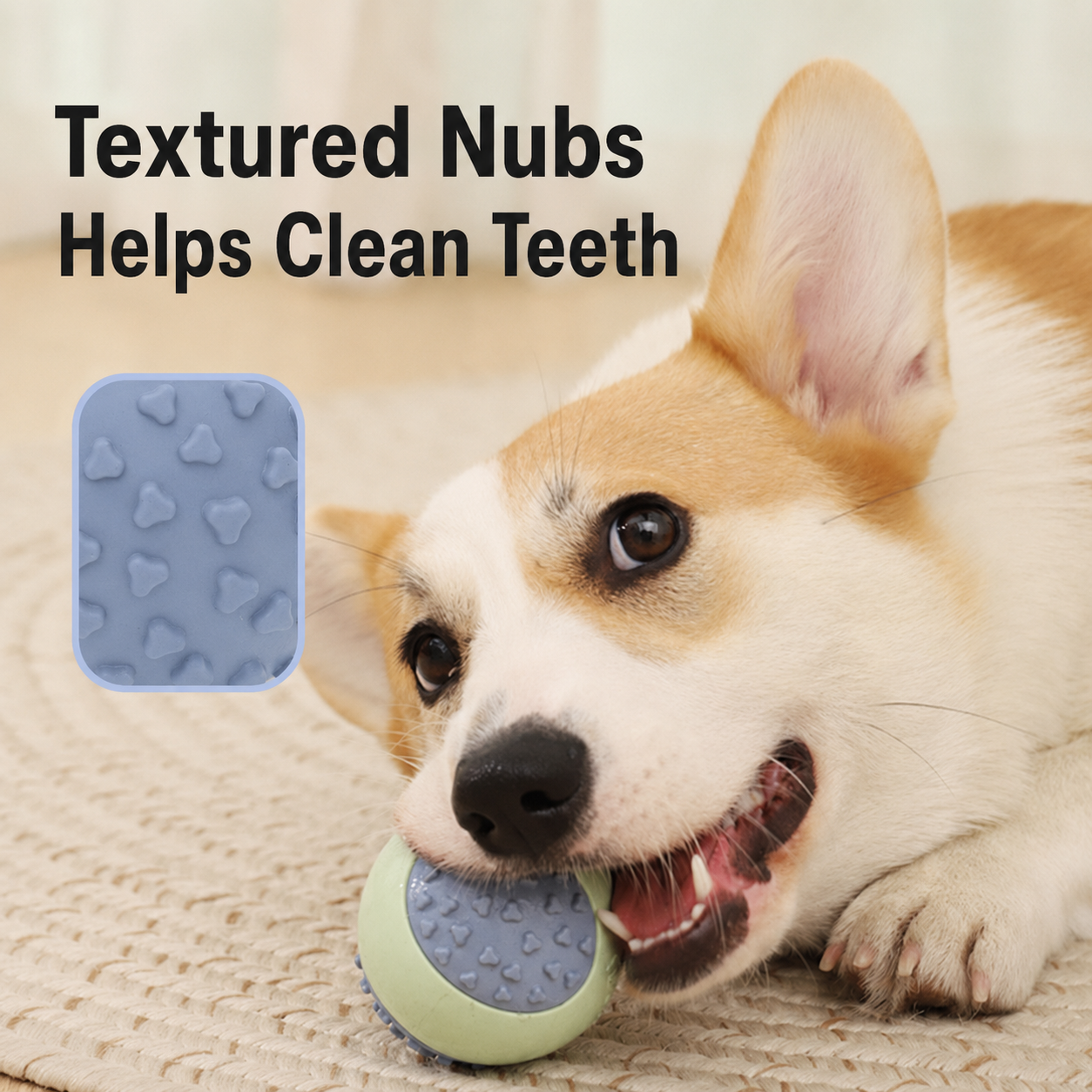 Durable, Squeaky Rubber Chew Ball