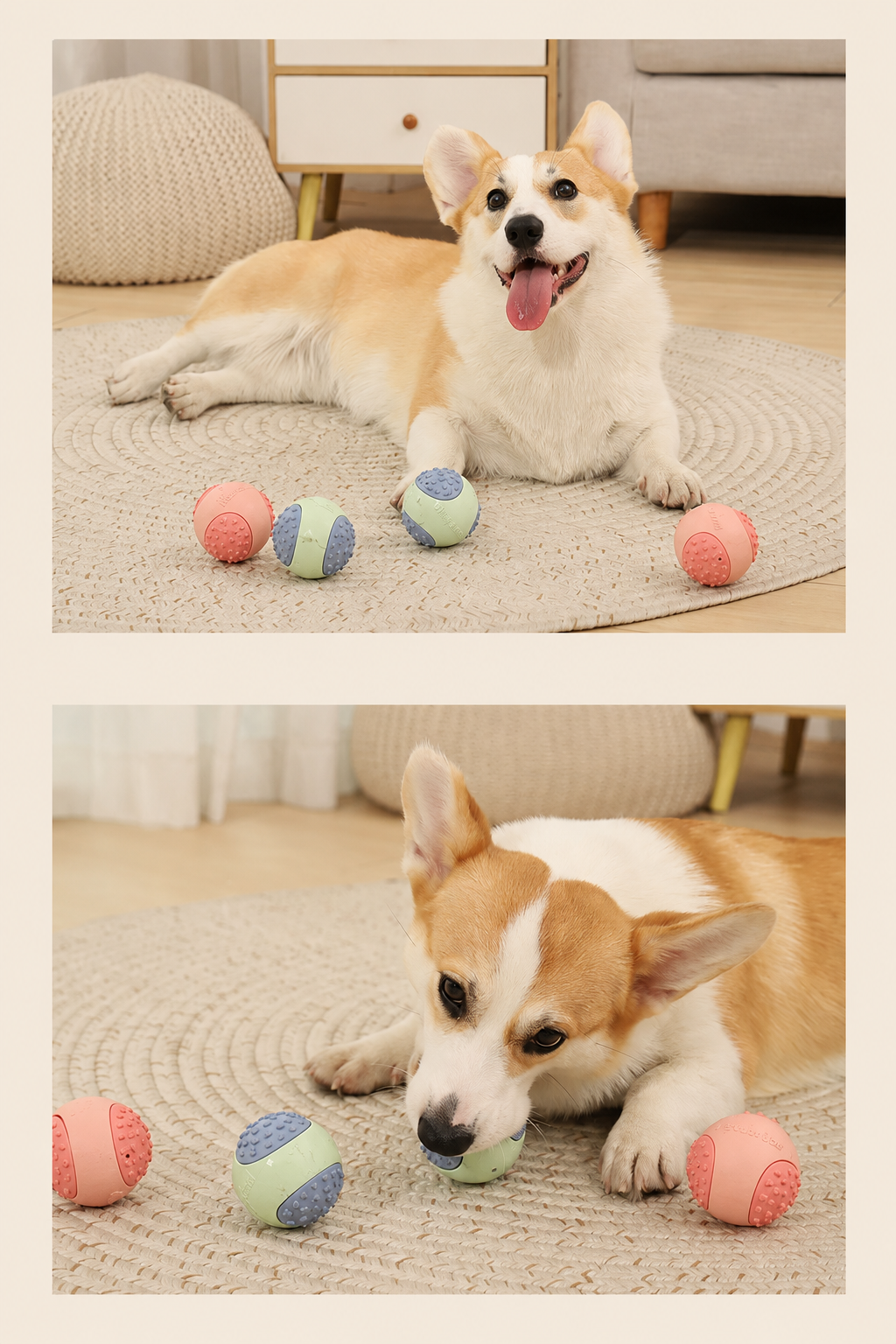 Durable, Squeaky Rubber Chew Ball