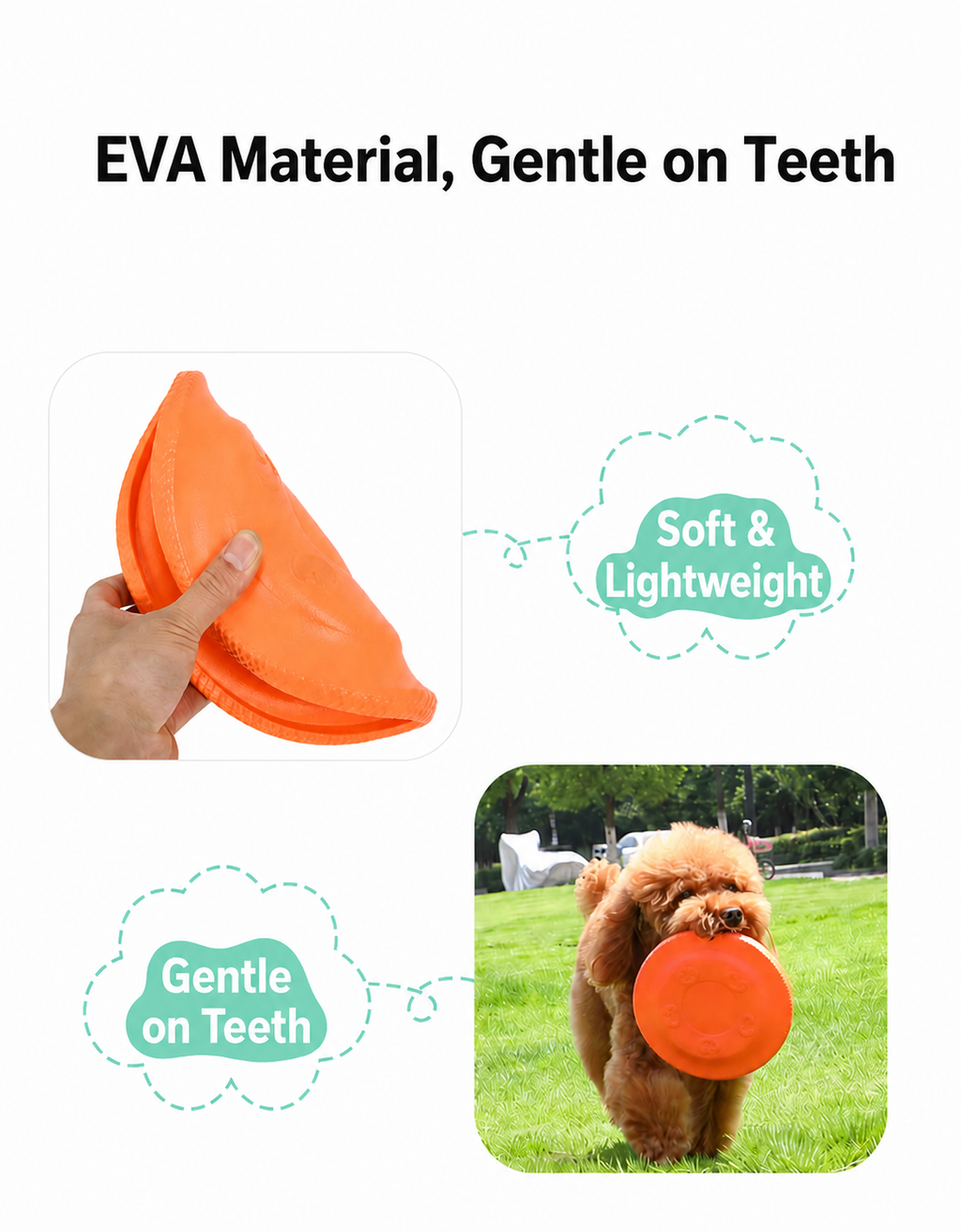 Pet frisbee