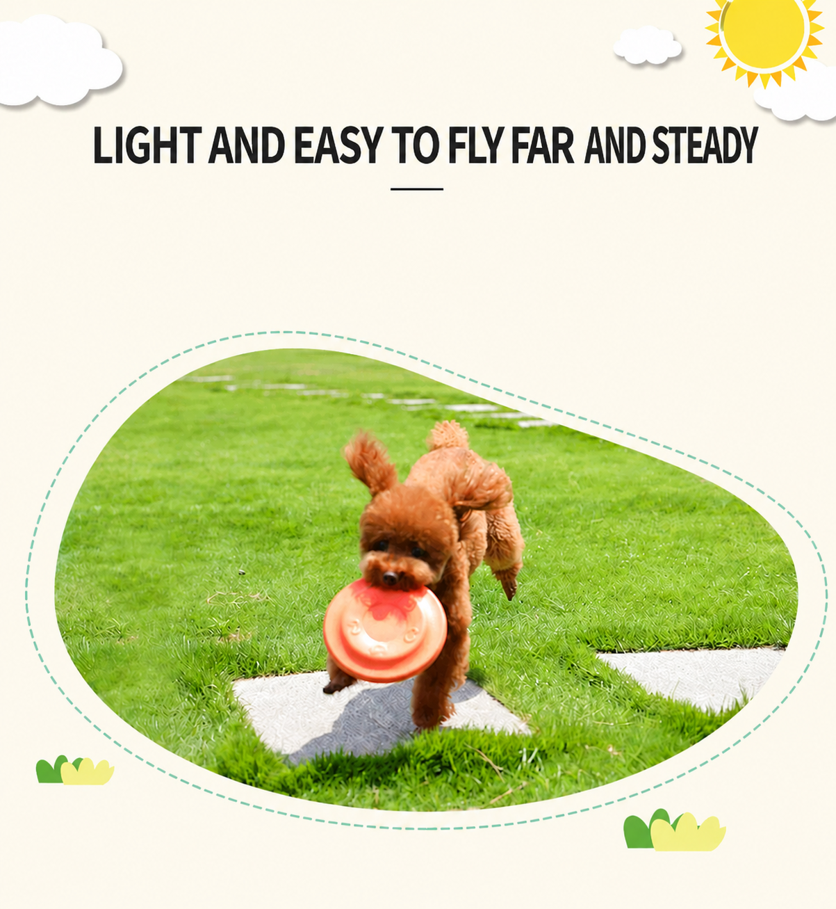 Pet frisbee